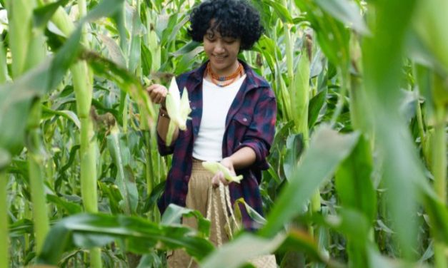 Optimalisasi Lahan Sempit Dengan Teknik Pertanian Urban