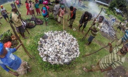 Makna Tradisi Bakar Batu Dalam Kehidupan Masyarakat Papua