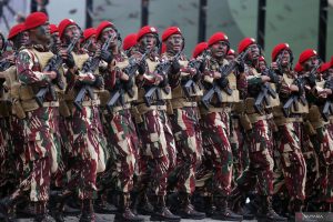 Transformasi TNI: Tantangan Dan Peluang Menghadapi Ancaman