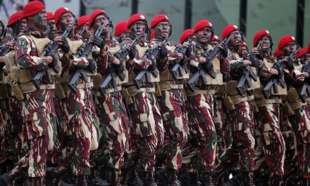 Transformasi TNI: Tantangan Dan Peluang Menghadapi Ancaman