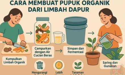 Cara Membuat Kompos Dari Sampah Organik Di Rumah