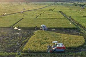 Potensi Pertanian Modern Untuk Masa Depan Pangan Indonesia