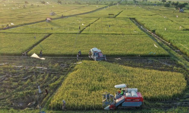 Potensi Pertanian Modern Untuk Masa Depan Pangan Indonesia