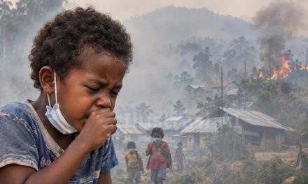 ISPA Pada Anak: Gangguan Pernapasan Paparan Asap Kebakaran