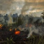 Kabut Asap Lintas Negara: Kebakaran Hutan Kesehatan Regional